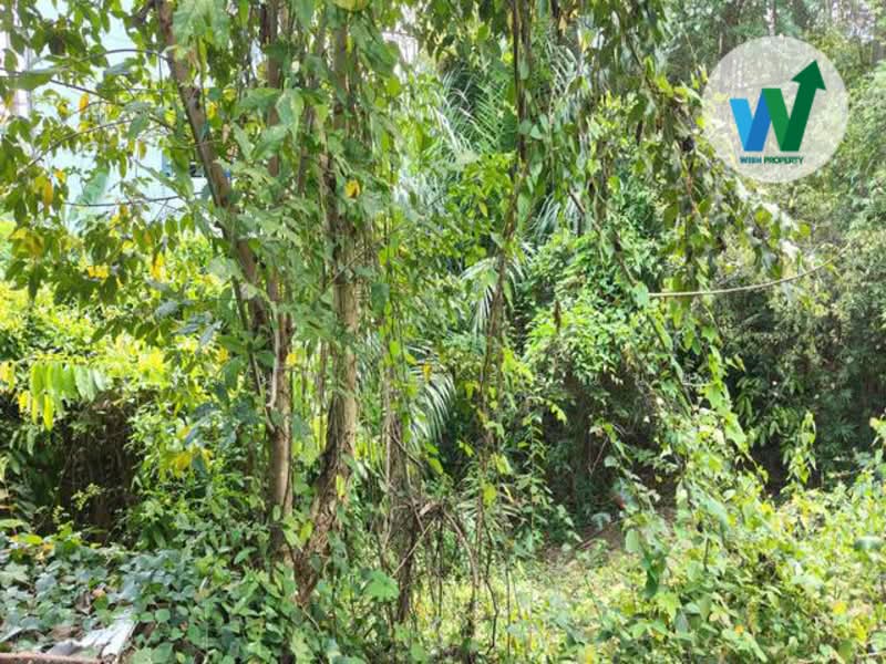 Land for sale on Asia Road, next to the Ford Phatthalung showroom., Phatthalung, เอเชีย, Tha Miram, Muang Phatthalung, Phatthalung, , 49,440 sqm, Land For Sale, by สุมนทา กรรณนุช, 500220542 - DDproperty.com