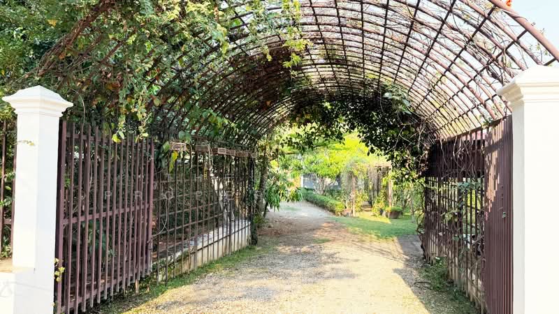 บ้านเดี่ยวพร้อมที่ดินแม่แตง เชียงใหม่, เชียงใหม่, แม่แตง, แม่แตง, เชียงใหม่, 1,034 ตร.ม., บ้านเดี่ยว ขาย, โดย The Best Property บอย, 500220554 - DDproperty.com