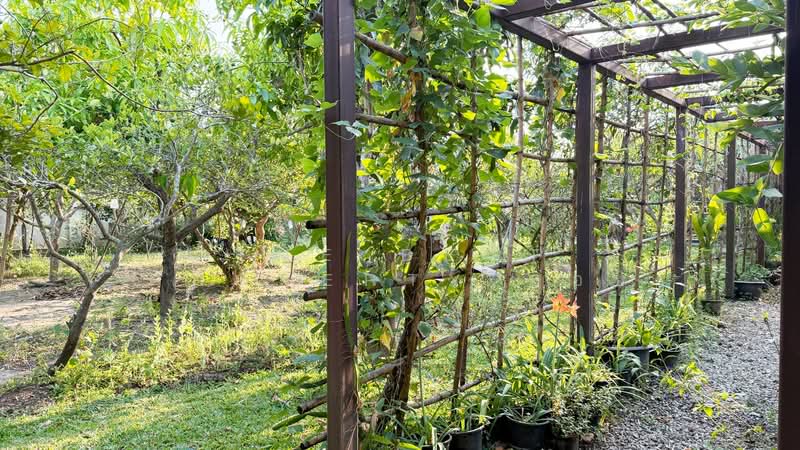 บ้านเดี่ยวพร้อมที่ดินแม่แตง เชียงใหม่, เชียงใหม่, แม่แตง, แม่แตง, เชียงใหม่, 1,034 ตร.ม., บ้านเดี่ยว ขาย, โดย The Best Property บอย, 500220554 - DDproperty.com