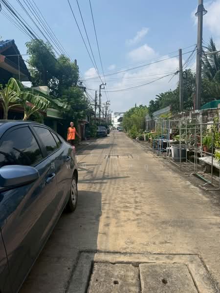 พัฒนาการ59 หาเช่าบ้านที่เหนือคอนโด, Bangkok, Phatthanakan, Suan Luang, Bangkok, 4 Bedrooms, 160 sqm, Townhouse For Rent, by วรัทยา สีหนาทสกุล, 500220559 - DDproperty.com