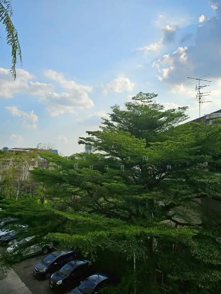 Lumpini Ville Sukhumvit 77-2, Bangkok, On Nut Rd, Suan Luang, Suan Luang, Bangkok, 1 Bedroom, 45 sqm, Condo For Rent, by อรวรรณ เหนี่ยวสุภาพ, 500220572 - DDproperty.com