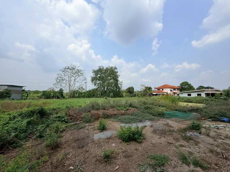 ที่ดินเปล่า ถนนรังสิต-นครนายก ตำบลบึงบอน อำเภอหนองเสือ จังหวัดปทุมธานี, ปทุมธานี, บึงบอน, หนองเสือ, ปทุมธานี, 1,600 ตร.ม., ที่ดิน ขาย, โดย ภัทรนัน อิศรางกูร ณ อยุธยา, 500220574 - DDproperty.com