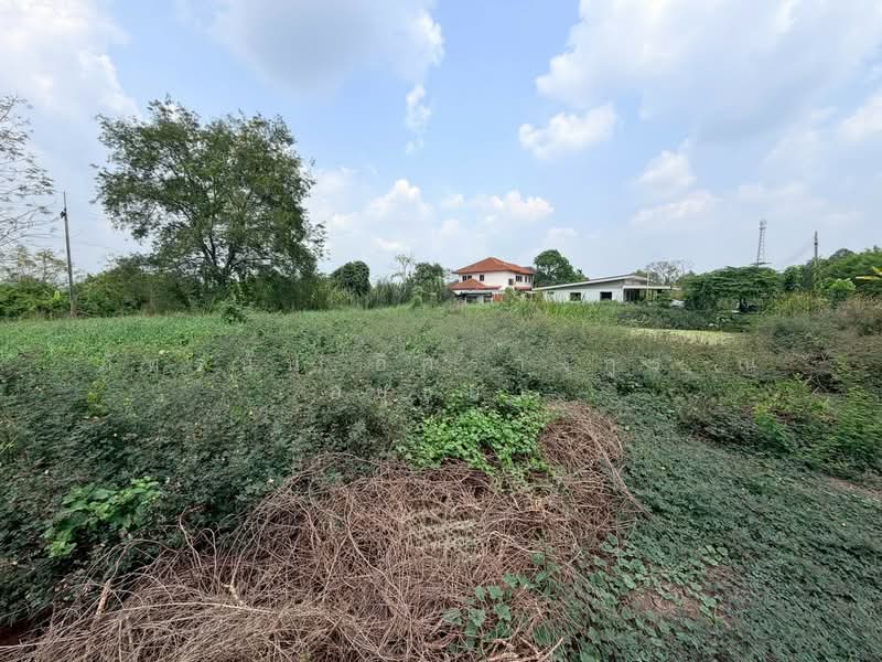 ที่ดินเปล่า ถนนรังสิต-นครนายก ตำบลบึงบอน อำเภอหนองเสือ จังหวัดปทุมธานี, Pathum Thani, Bung Bon, Nong Sua, Pathum Thani, , 1,600 sqm, Land For Sale, by ภัทรนัน อิศรางกูร ณ อยุธยา, 500220574 - DDproperty.com