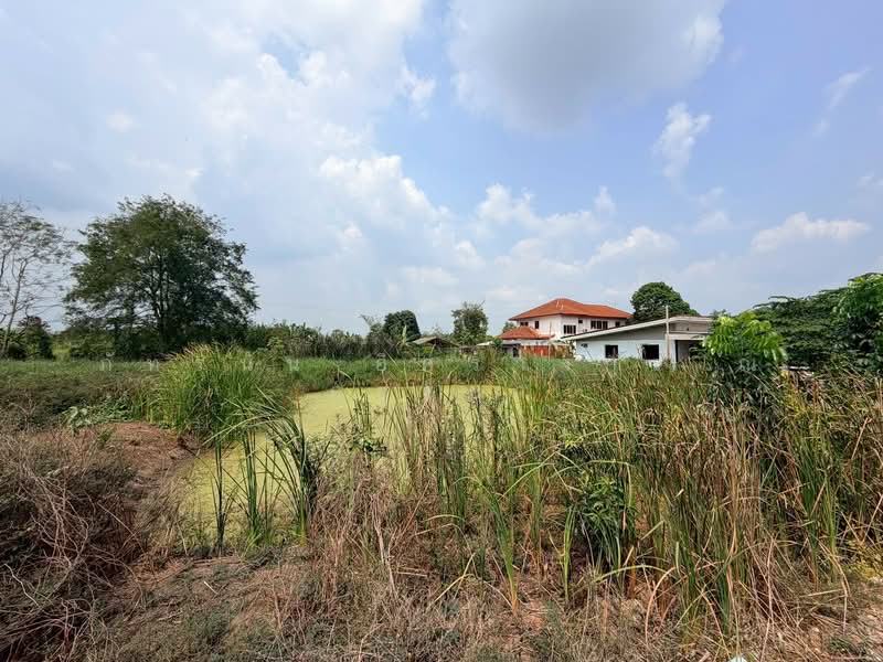 ที่ดินเปล่า ถนนรังสิต-นครนายก ตำบลบึงบอน อำเภอหนองเสือ จังหวัดปทุมธานี, Pathum Thani, Bung Bon, Nong Sua, Pathum Thani, , 1,600 sqm, Land For Sale, by ภัทรนัน อิศรางกูร ณ อยุธยา, 500220574 - DDproperty.com