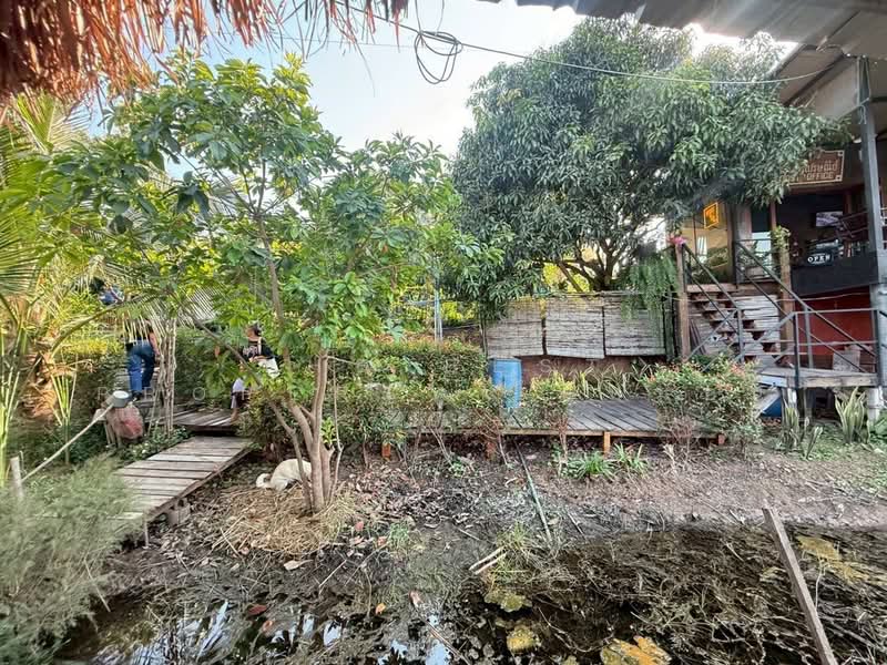 ที่ดินพร้อมสิ่งปลูกสร้างหนองแค สระบุรี, Saraburi, Kum Hak, Nong Khae, Saraburi, , 8,000 sqm, Land For Sale, by The Best Property ใบหม่อน, 500220735 - DDproperty.com