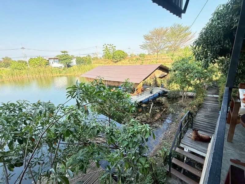 ที่ดินพร้อมสิ่งปลูกสร้างหนองแค สระบุรี, สระบุรี, กุ่มหัก, หนองแค, สระบุรี, 8,000 ตร.ม., ที่ดิน ขาย, โดย The Best Property ใบหม่อน, 500220735 - DDproperty.com