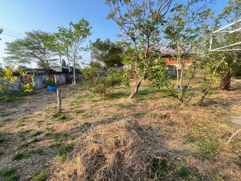 บ้านเดี่ยวพร้อมที่ดินบางปะกง ฉะเชิงเทรา, ฉะเชิงเทรา, บางสมัคร, บางปะกง, ฉะเชิงเทรา, 120 ตร.ม., บ้านเดี่ยว ขาย, โดย The Best Property  โอ, 500220804 - DDproperty.com