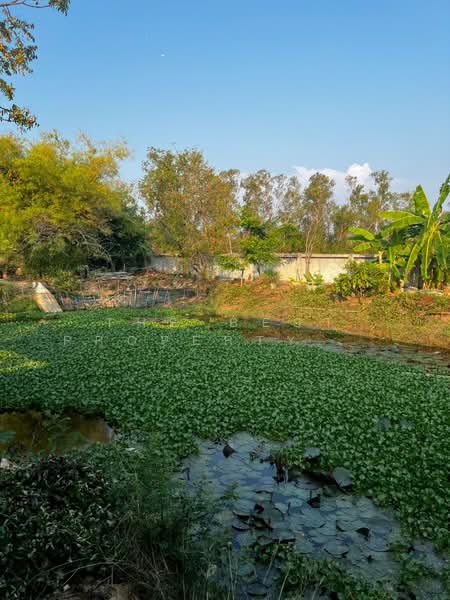 บ้านเดี่ยวพร้อมที่ดินบางปะกง ฉะเชิงเทรา, Chachoengsao, Bang Samak, Bang Pakong, Chachoengsao, 2 Bedrooms, 120 sqm, Single Detached House For Sale, by The Best Property  โอ, 500220804 - DDproperty.com