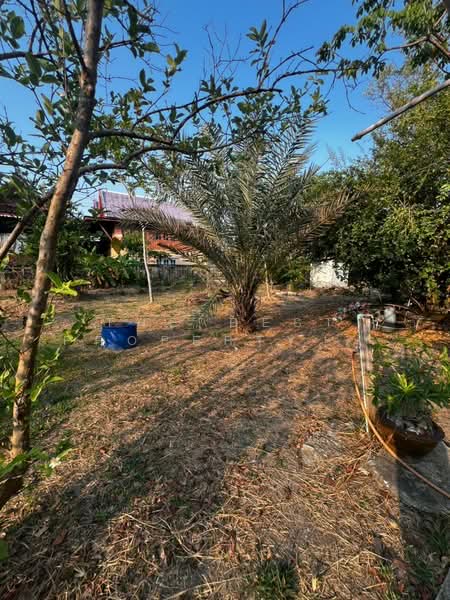 บ้านเดี่ยวพร้อมที่ดินบางปะกง ฉะเชิงเทรา, Chachoengsao, Bang Samak, Bang Pakong, Chachoengsao, 2 Bedrooms, 120 sqm, Single Detached House For Sale, by The Best Property  โอ, 500220804 - DDproperty.com