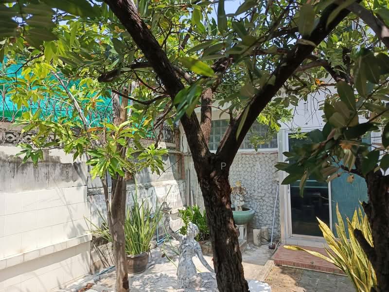 ให้เช่าบ้านเดี่ยว 2 ชั้น ย่านลาดพร้าว โชคชัย 4 (SPSAD3907), กรุงเทพ, ลาดพร้าว, ลาดพร้าว, กรุงเทพ, 316 ตร.ม., บ้านเดี่ยว ให้เช่า, โดย Agent Pla, 500220837 - DDproperty.com