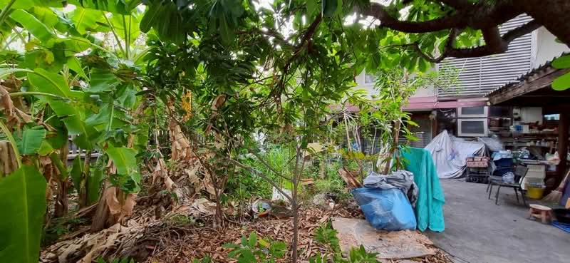 For Sale - ที่ดิน + บ้าน 100 ตร.ว. ซอยมหาดไทย ซอยลาดพร้าว120 ถนนลาดพร้าว ใกล้สนามกีฬาแห่งชาติ, Bangkok