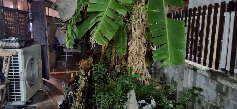 For Sale - ที่ดิน + บ้าน 100 ตร.ว. ซอยมหาดไทย ซอยลาดพร้าว120 ถนนลาดพร้าว ใกล้สนามกีฬาแห่งชาติ, Bangkok