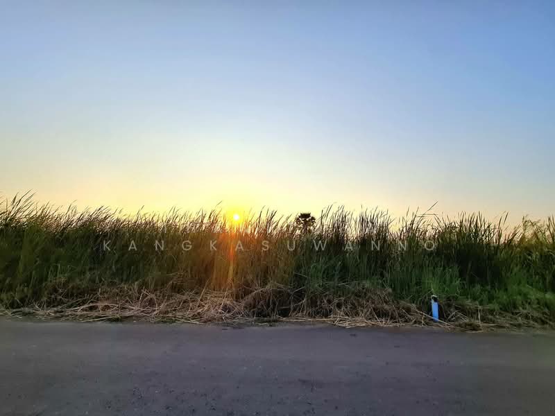 ที่ดินฉลองกรุง54, กรุงเทพ, ลำปลาทิว, ลาดกระบัง, กรุงเทพ, 1,584 ตร.ม., ที่ดิน ขาย, โดย Thanitcha Kangkasuwanno, 500220857 - DDproperty.com