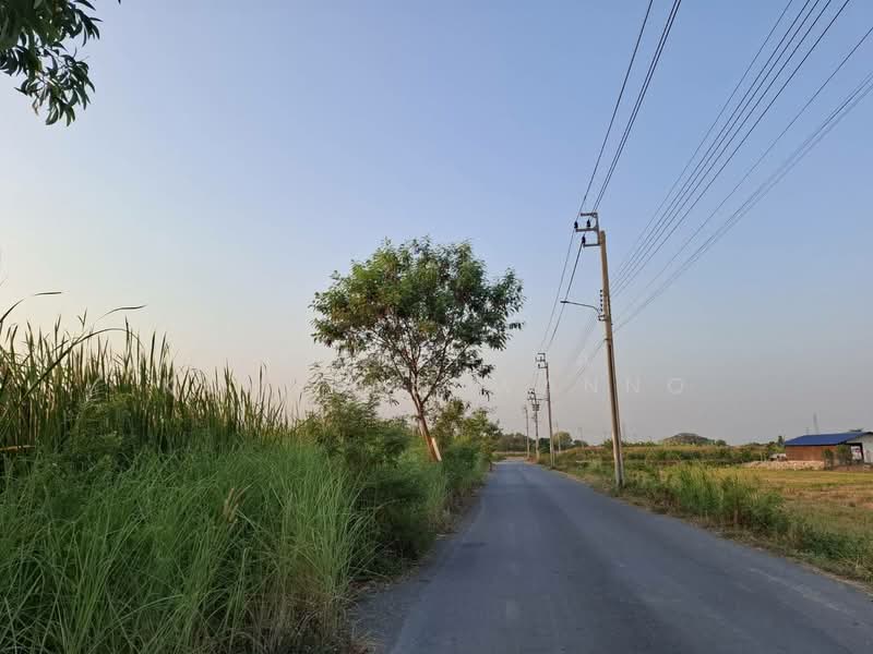 ที่ดินฉลองกรุง54, Bangkok, Lam Pla Tiew, Lat Krabang, Bangkok, , 1,584 sqm, Land For Sale, by Thanitcha Kangkasuwanno, 500220857 - DDproperty.com