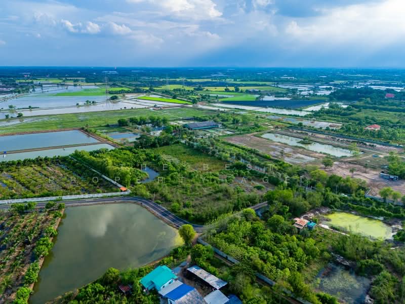 For Sale - ที่ดินดอนตูม นครปฐม, Nakhon Pathom
