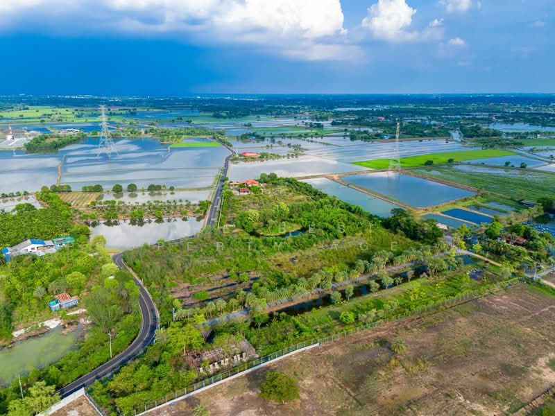 For Sale - ที่ดินดอนตูม นครปฐม, Nakhon Pathom