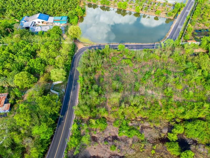 For Sale - ที่ดินดอนตูม นครปฐม, Nakhon Pathom