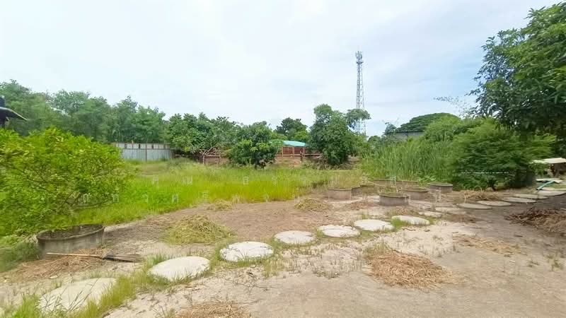 ที่ดิน + สิ่งปลูกสร้าง 1 ไร่ 100 ตร.ว. ถนนบ้านกล้วย-ไทรน้อย ใกล้วัดมะสง, นนทบุรี, ถนนเรียบคลองตาชม, ทวีวัฒนา, ไทรน้อย, นนทบุรี, 2,000 ตร.ม., ที่ดิน ขาย, โดย คุณ ธรรมธัส แก้วศรีพจน์ (ซันนี่), 500220906 - DDproperty.com