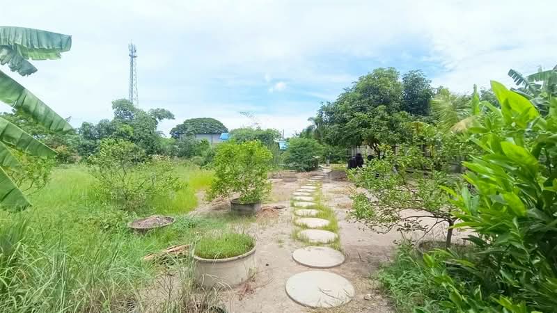 ที่ดิน + สิ่งปลูกสร้าง 1 ไร่ 100 ตร.ว. ถนนบ้านกล้วย-ไทรน้อย ใกล้วัดมะสง, นนทบุรี, ถนนเรียบคลองตาชม, ทวีวัฒนา, ไทรน้อย, นนทบุรี, 2,000 ตร.ม., ที่ดิน ขาย, โดย คุณ ธรรมธัส แก้วศรีพจน์ (ซันนี่), 500220906 - DDproperty.com