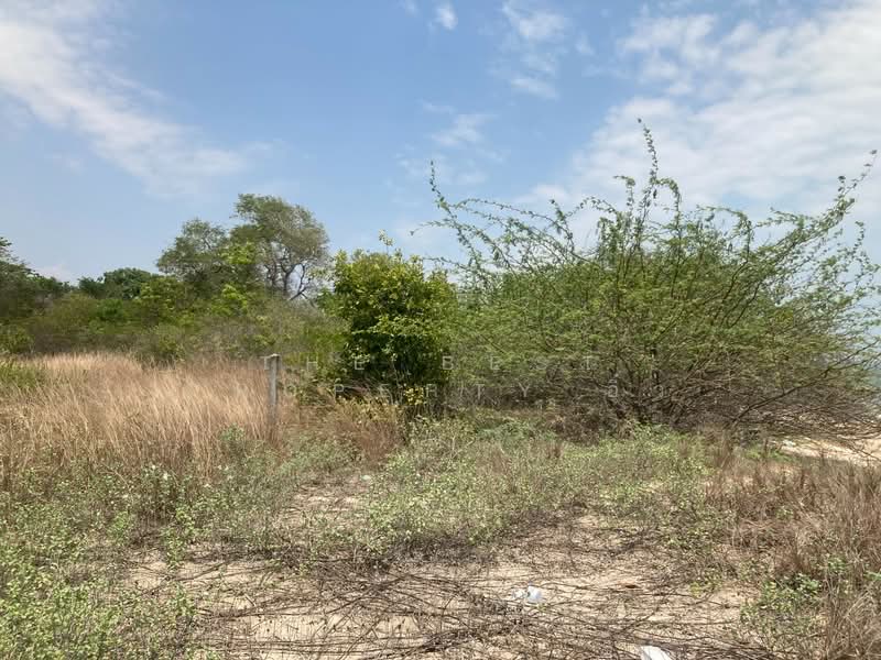 ที่ดินห้วยทราย ประจวบคีรีขันธ์, Prachuap Khiri Khan, Huai Sai, Muang Prachaubkirikhan, Prachuap Khiri Khan, , 800 sqm, Land For Sale, by The Best Property อิ๋ว, 500220957 - DDproperty.com