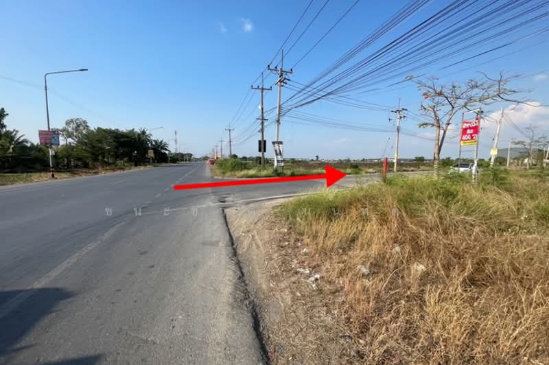 ลำลูกกาคลอง8, ปทุมธานี, ลำลูกกา, ลำลูกกา, ปทุมธานี, 1,600 ตร.ม., ที่ดิน ขาย, โดย ชนะชาติ นนท์ตา, 500220985 - DDproperty.com