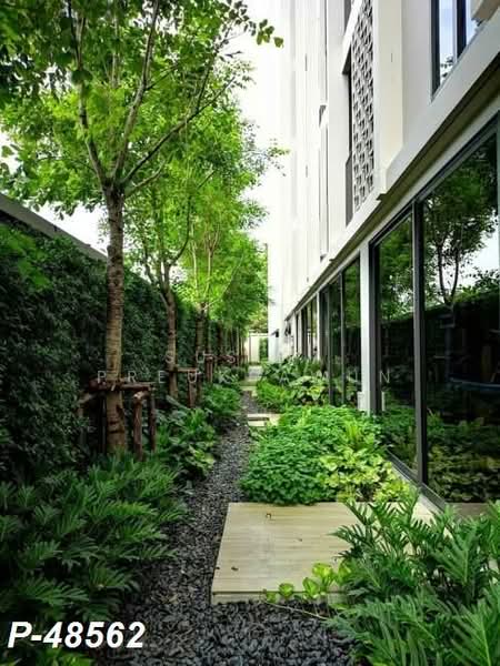 Chambers On-Nut Station, Bangkok, Soi Sukhumvit 81, Sukhumvit Road, Phra Kanong Nua, Watthana, Bangkok, 1 Bedroom, 27 sqm, Condo For Rent, by Susira Preuksawun, 500221013 - DDproperty.com