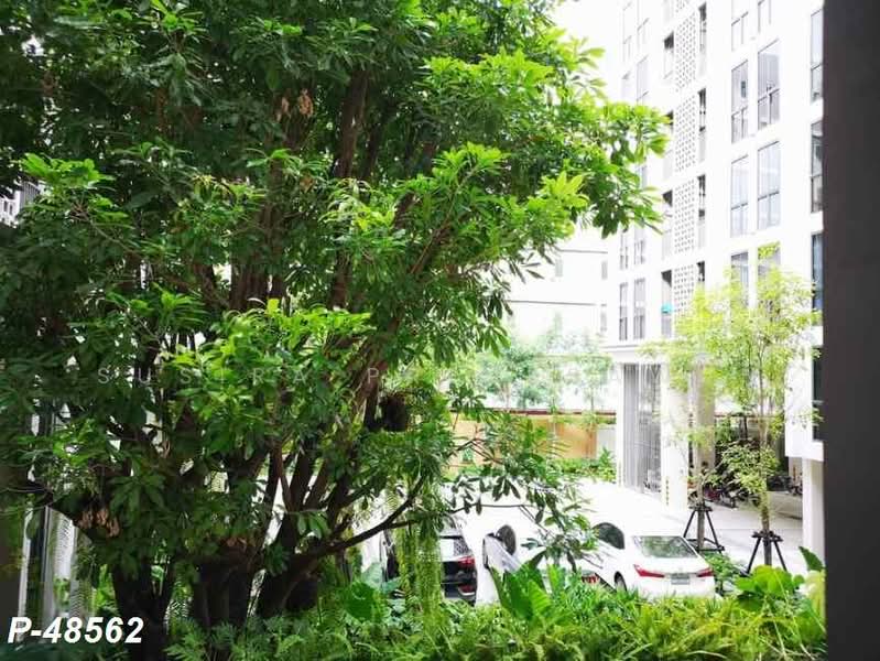 Chambers On-Nut Station, Bangkok, Soi Sukhumvit 81, Sukhumvit Road, Phra Kanong Nua, Watthana, Bangkok, 1 Bedroom, 27 sqm, Condo For Rent, by Susira Preuksawun, 500221013 - DDproperty.com
