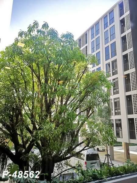 Chambers On-Nut Station : แชมเบอร์ส อ่อนนุช สเตชั่น, กรุงเทพ, ซอยสุขุมวิท 81 ถนนสุขุมวิท, พระโขนงเหนือ, วัฒนา, กรุงเทพ, 27 ตร.ม., คอนโด ให้เช่า, โดย Susira Preuksawun, 500221013 - DDproperty.com