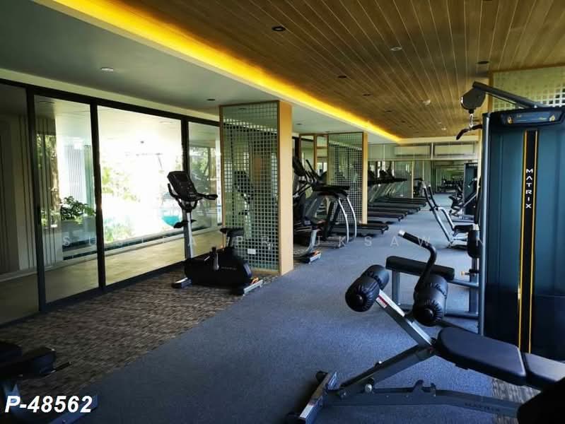 Chambers On-Nut Station, Bangkok, Soi Sukhumvit 81, Sukhumvit Road, Phra Kanong Nua, Watthana, Bangkok, 1 Bedroom, 27 sqm, Condo For Rent, by Susira Preuksawun, 500221013 - DDproperty.com