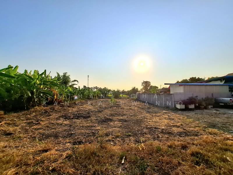 ที่ดินประชาอุทิศ, Bangkok, Khum Thong, Lat Krabang, Bangkok, , 420 sqm, Land For Sale, by Thanitcha Kangkasuwanno, 500221032 - DDproperty.com
