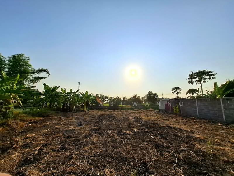 ที่ดินประชาอุทิศ, Bangkok, Khum Thong, Lat Krabang, Bangkok, , 420 sqm, Land For Sale, by Thanitcha Kangkasuwanno, 500221032 - DDproperty.com