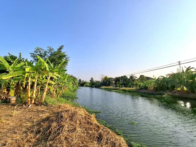 ที่ดินประชาอุทิศ, กรุงเทพ, ขุมทอง, ลาดกระบัง, กรุงเทพ, 420 ตร.ม., ที่ดิน ขาย, โดย Thanitcha Kangkasuwanno, 500221032 - DDproperty.com