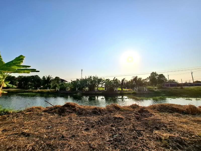 ที่ดินประชาอุทิศ, กรุงเทพ, ขุมทอง, ลาดกระบัง, กรุงเทพ, 420 ตร.ม., ที่ดิน ขาย, โดย Thanitcha Kangkasuwanno, 500221032 - DDproperty.com