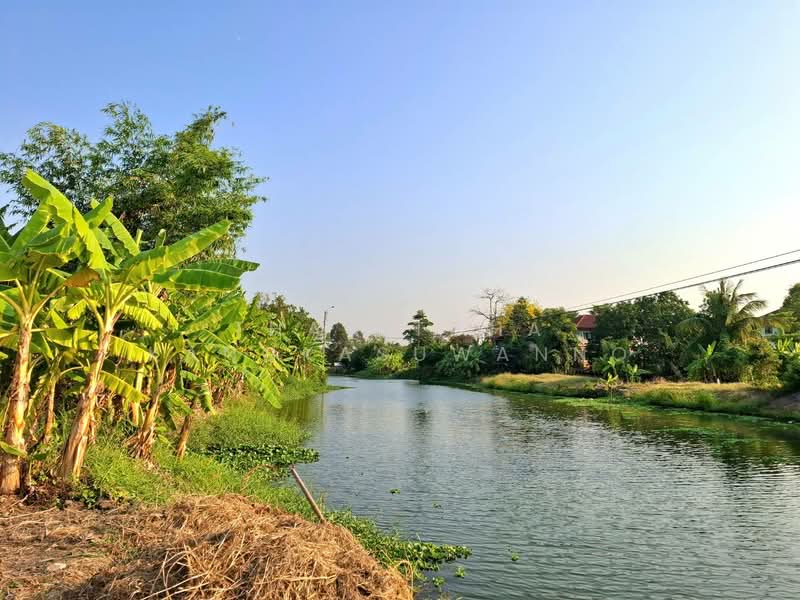 ที่ดินประชาอุทิศ, Bangkok, Khum Thong, Lat Krabang, Bangkok, , 420 sqm, Land For Sale, by Thanitcha Kangkasuwanno, 500221032 - DDproperty.com