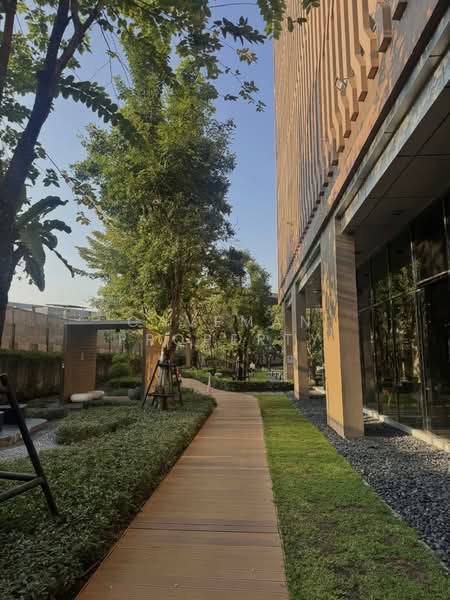 M Jatujak, Bangkok, Phahonyothin Road, Chatuchak, Chatuchak, Bangkok, 1 Bedroom, 28 sqm, Condo For Rent, by caveman property, 500221303 - DDproperty.com