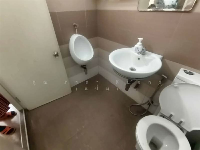 อาคารพาณิชย์ 4.5 ชั้น 87 ตร.ว. ใกล้เดอะมอลล์บางกะปิ ระหว่างซอยรามคำแหง64/3 และ66, กรุงเทพ, ถนนรามคำแหง, หัวหมาก, บางกะปิ, กรุงเทพ, 500 ตร.ม., ตึกแถว-อาคารพาณิชย์ ขาย, โดย คุณ ภาดา ตินตกร (แป๋ม), 500221375 - DDproperty.com