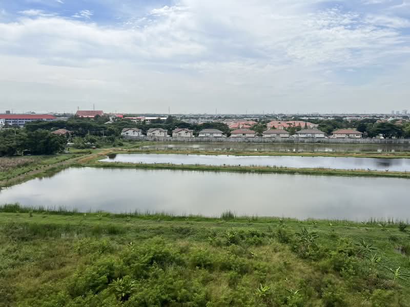 Lumpini Mega City Bangna : ลุมพินี เมกะ ซิตี้ บางนา, สมุทรปราการ, ถ.หน้าดินบางนา-ตราด, บางแก้ว, บางพลี, สมุทรปราการ, 23 ตร.ม., คอนโด ให้เช่า, โดย คุณ ภัทรานิษฐ์, 500221548 - DDproperty.com