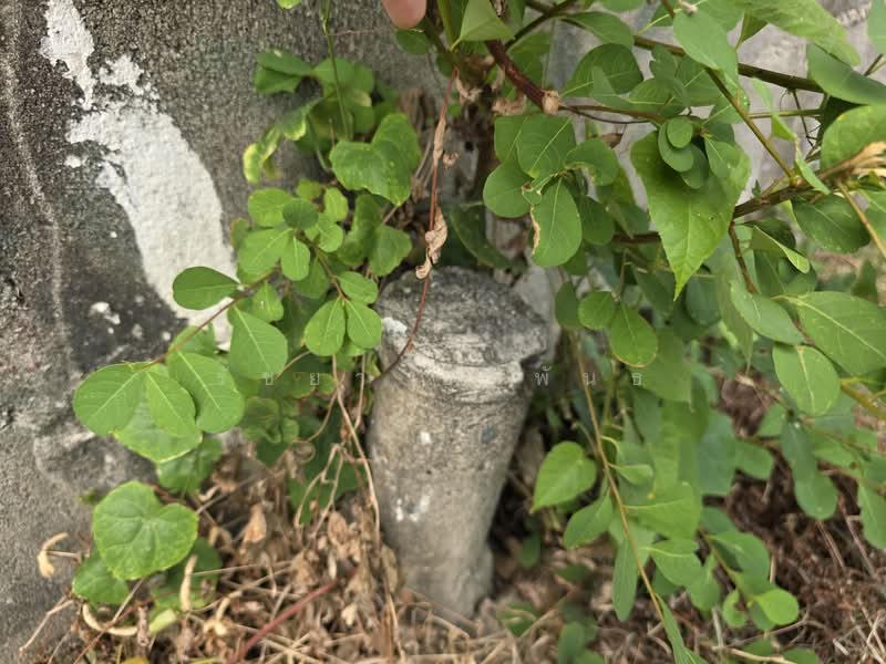 จรัญสนิทวงศ์ ซ.3, กรุงเทพ, จรัญสนิทวงศ์ 3, วัดท่าพระ, บางกอกใหญ่, กรุงเทพ, 820 ตร.ม., ที่ดิน ขาย, โดย รัชยา ยุวพันธ์, 500221675 - DDproperty.com