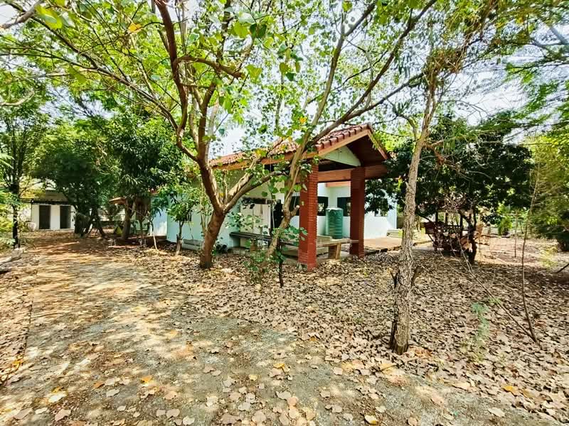 ซอยลำลูกกา 97, ปทุมธานี, บึงคำพร้อย, ลำลูกกา, ปทุมธานี, 7,152 ตร.ม., ที่ดิน ขาย, โดย ชนะชาติ นนท์ตา, 500221743 - DDproperty.com