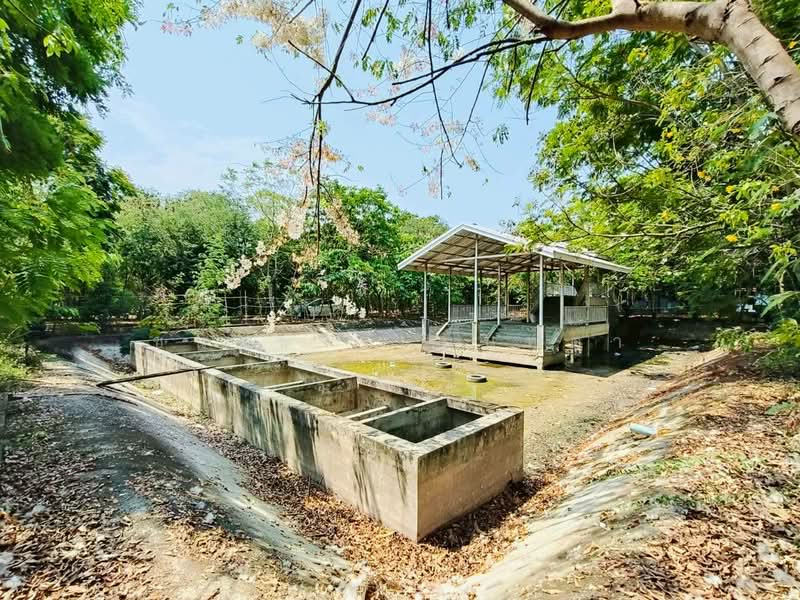 ซอยลำลูกกา 97, Pathum Thani, Bung Kham Proi, Lam Luk Ka, Pathum Thani, , 7,152 sqm, Land For Sale, by ชนะชาติ นนท์ตา, 500221743 - DDproperty.com