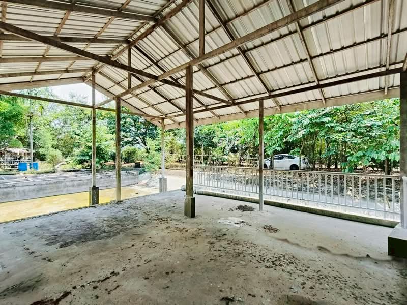ซอยลำลูกกา 97, Pathum Thani, Bung Kham Proi, Lam Luk Ka, Pathum Thani, , 7,152 sqm, Land For Sale, by ชนะชาติ นนท์ตา, 500221743 - DDproperty.com