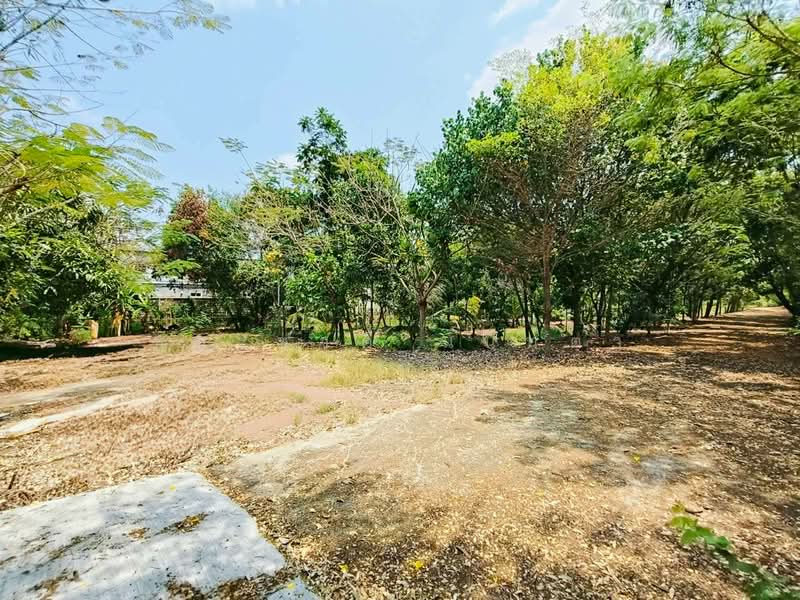 ซอยลำลูกกา 97, Pathum Thani, Bung Kham Proi, Lam Luk Ka, Pathum Thani, , 7,152 sqm, Land For Sale, by ชนะชาติ นนท์ตา, 500221743 - DDproperty.com