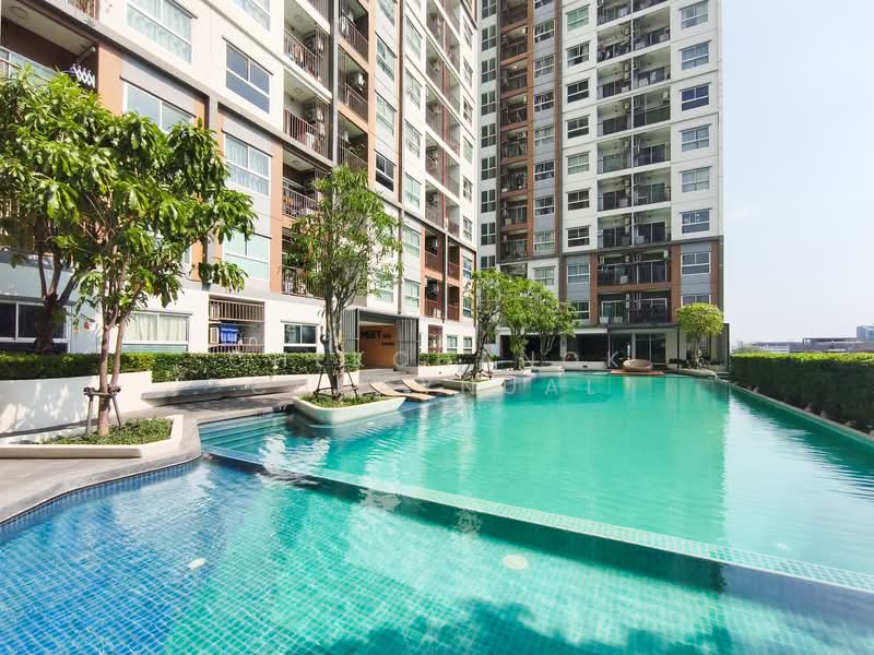 The Trust Condo Ngamwongwan : เดอะทรัสต์ คอนโด งามวงศ์วาน, นนทบุรี, 74 ถนนงามวงศ์วาน, บางเขน, เมืองนนทบุรี, นนทบุรี, 28 ตร.ม., คอนโด ขาย, โดย Chekchanok Chuaynual, 500221745 - DDproperty.com