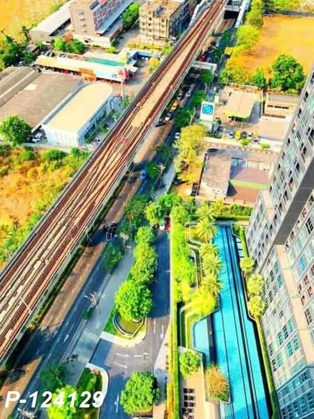 IDEO MOBI Sukhumvit Eastgate : ไอดีโอ โมบิ สุขุมวิท อีสท์เกต, กรุงเทพ, 4371 สุขุมวิท, บางนา, บางนา, กรุงเทพ, 30 ตร.ม., คอนโด ให้เช่า, โดย Nichaphat Sakunchayapha, 500221945 - DDproperty.com