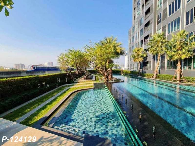 IDEO MOBI Sukhumvit Eastgate, Bangkok, 4371 Sukhumvit Road, Bang Na, Bang Na, Bangkok, 1 Bedroom, 30 sqm, Condo For Rent, by Nichaphat Sakunchayapha, 500221945 - DDproperty.com