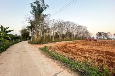 ขาย - ที่ดินด่านซ้าย เลย, เลย