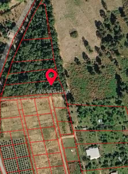 ที่ดินด่านซ้าย เลย, Loei, Khok Ngam, Dan Sai, Loei, , 1,600 sqm, Land For Sale, by The Best Property รัตน์, 500221949 - DDproperty.com