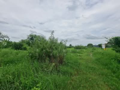 ขาย - ที่ดินบางใหญ่ นนทบุรี, นนทบุรี