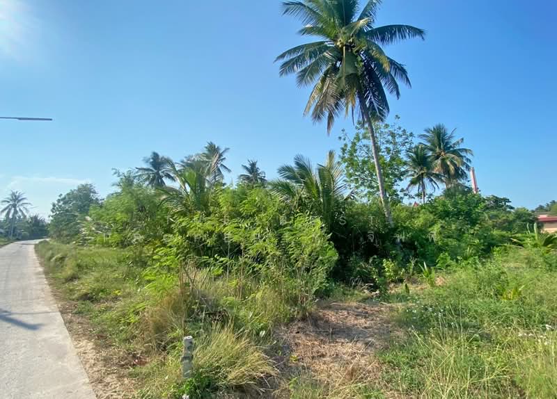 ที่ดินอัมพวา สมุทรสงคราม, Samut Songkhram, Phraek Nam Daeng, Amphawa, Samut Songkhram, , 784 sqm, Land For Sale, by The Best Property จิฟฟี่, 500221985 - DDproperty.com