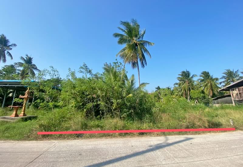 ที่ดินอัมพวา สมุทรสงคราม, Samut Songkhram, Phraek Nam Daeng, Amphawa, Samut Songkhram, , 784 sqm, Land For Sale, by The Best Property จิฟฟี่, 500221985 - DDproperty.com